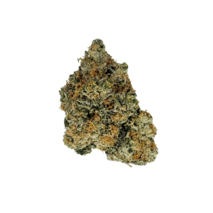 Gelato 41